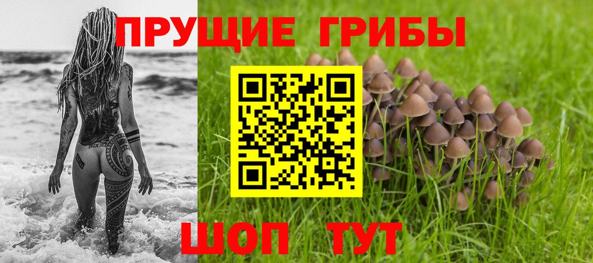 Псилоцибиновые грибы GOLDEN TEACHER  Вход с VPN  Чебаркуль 