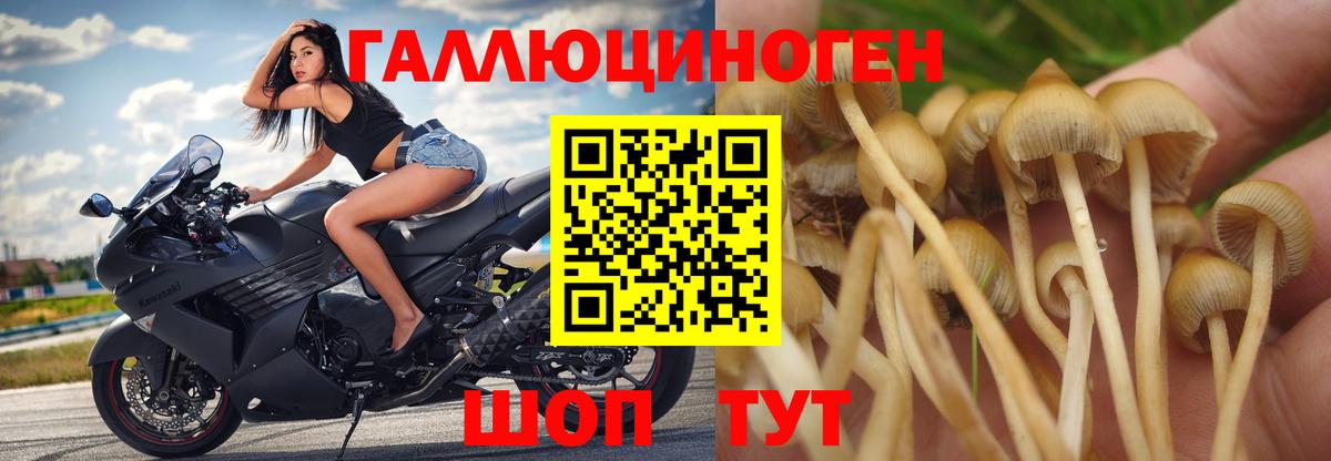 Галлюциногенные грибы мицелий Чебаркуль