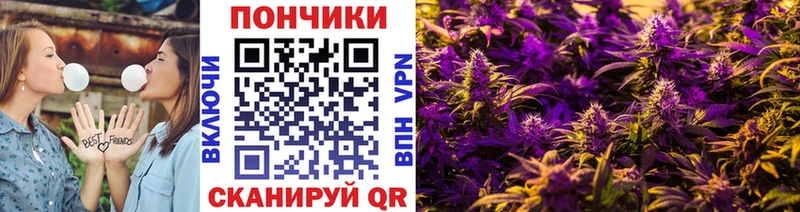 Бошки марихуана индика  OMG онион  Чебаркуль  как найти  